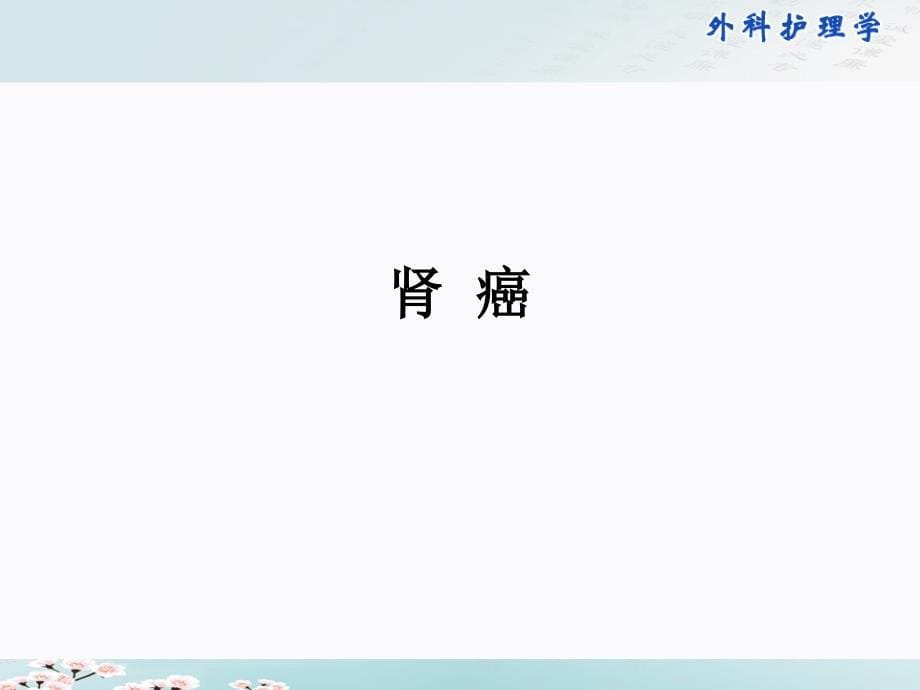 外科护理学配套光盘泌尿、男性生殖系统肿瘤病人的护理_第5页