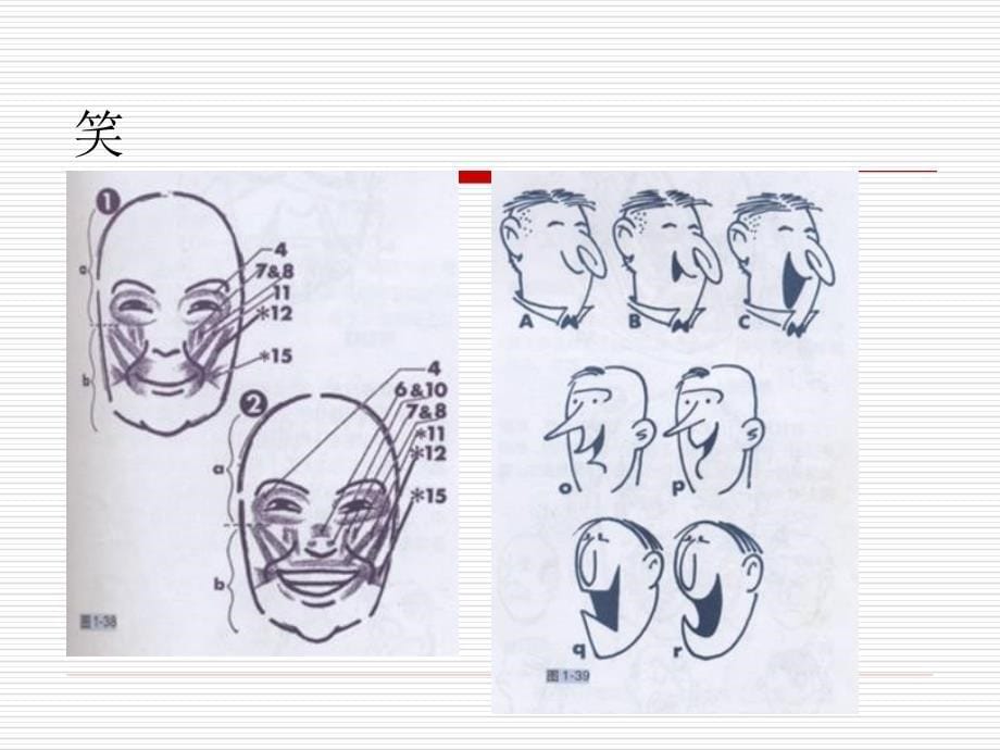 角色造型设计资料_第5页