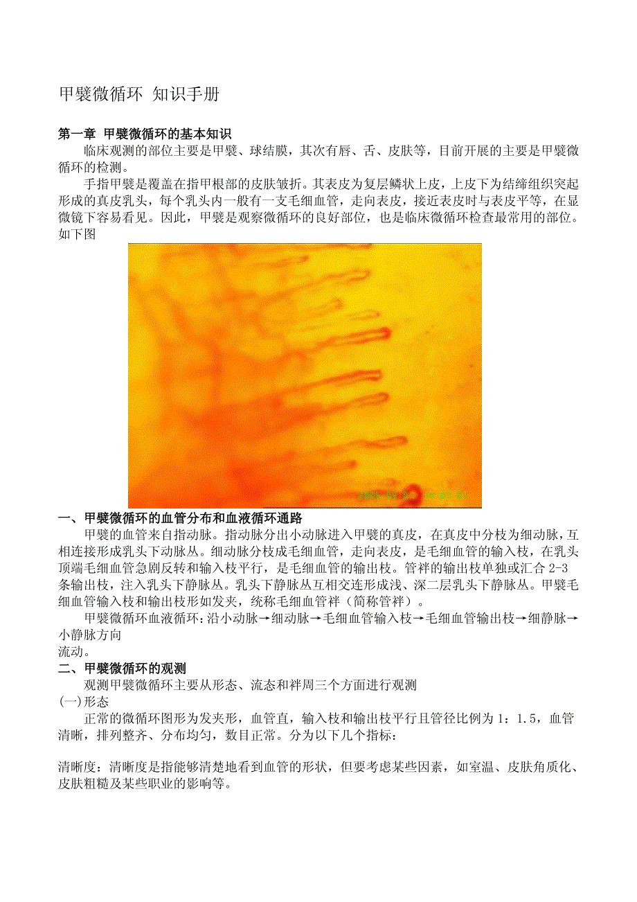 甲襞微循环知识手册资料_第1页