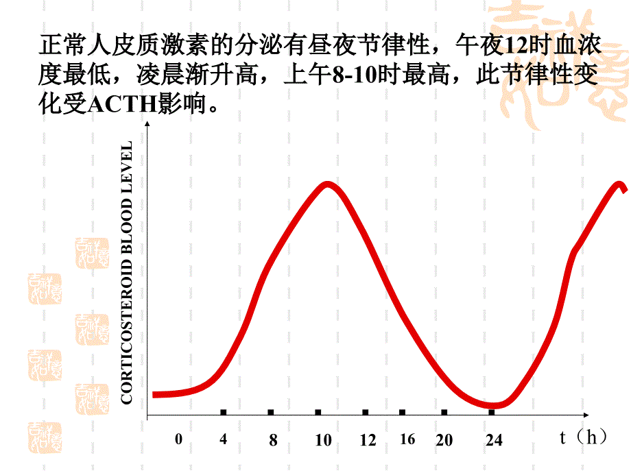 肾上腺皮质激素17661资料_第4页