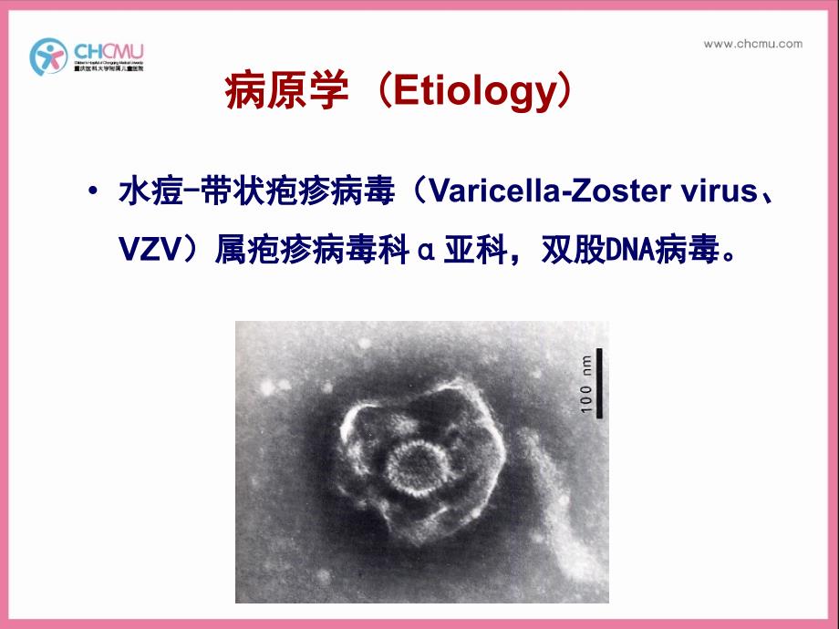 儿科教程课件儿科-水痘-王_第3页