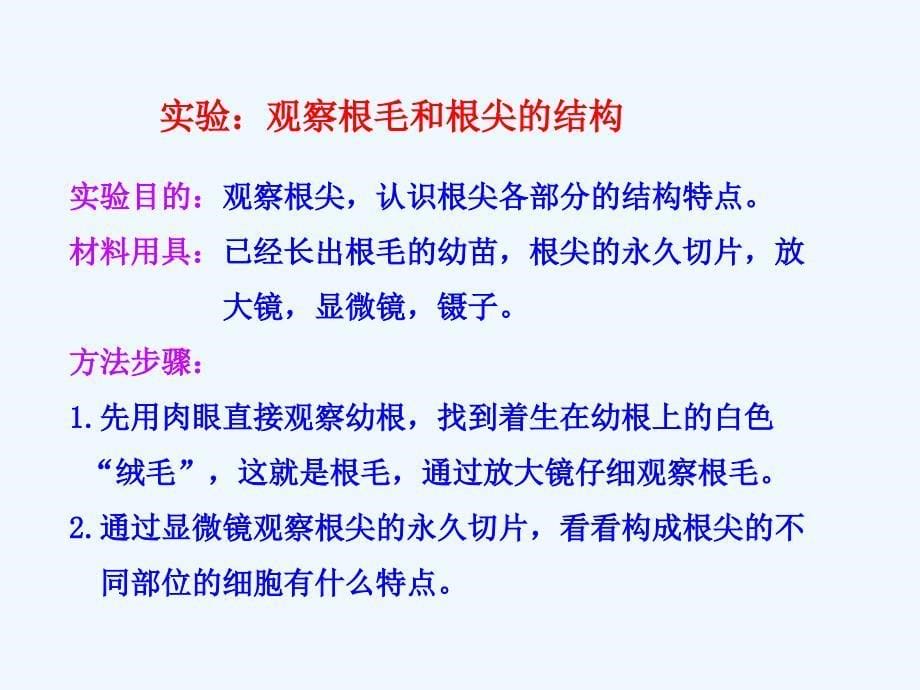 生物人教版七年级上册第二节植株的生长_第5页