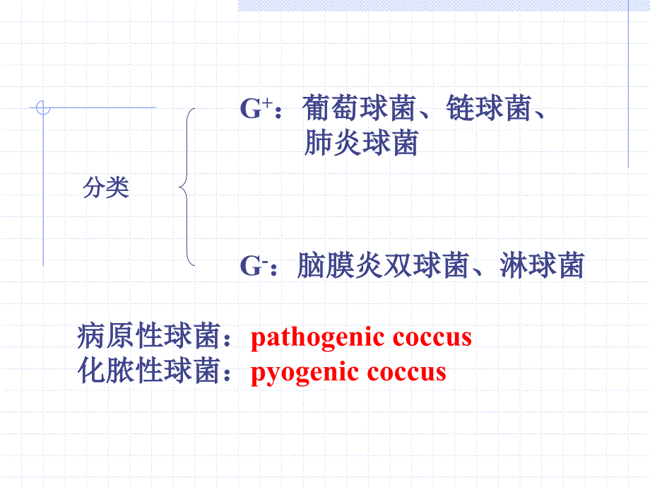 医学微生物学电子课件08球菌_第3页