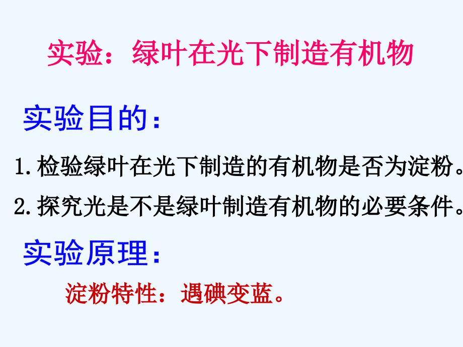 生物人教版七年级上册第三单元第四章课件_第2页