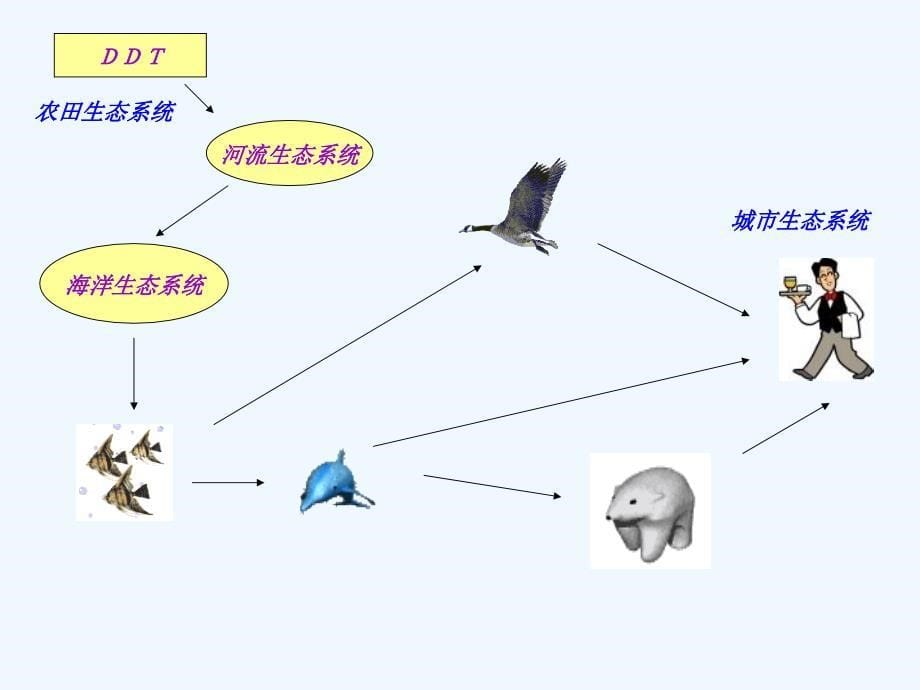 生物人教版七年级上册生物圈与生态系统的区别？_第5页