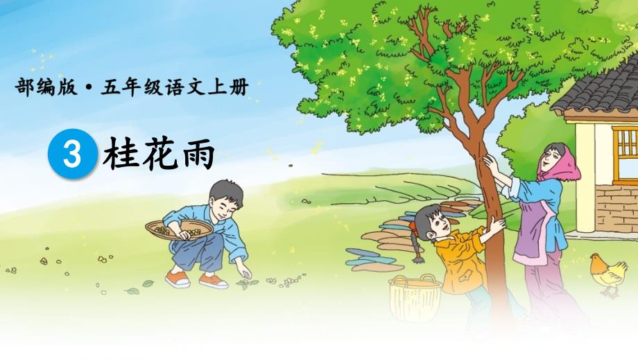 部编版（统编）小学语文五年级上册第一单元《3 桂花雨》教学课件PPT_第1页