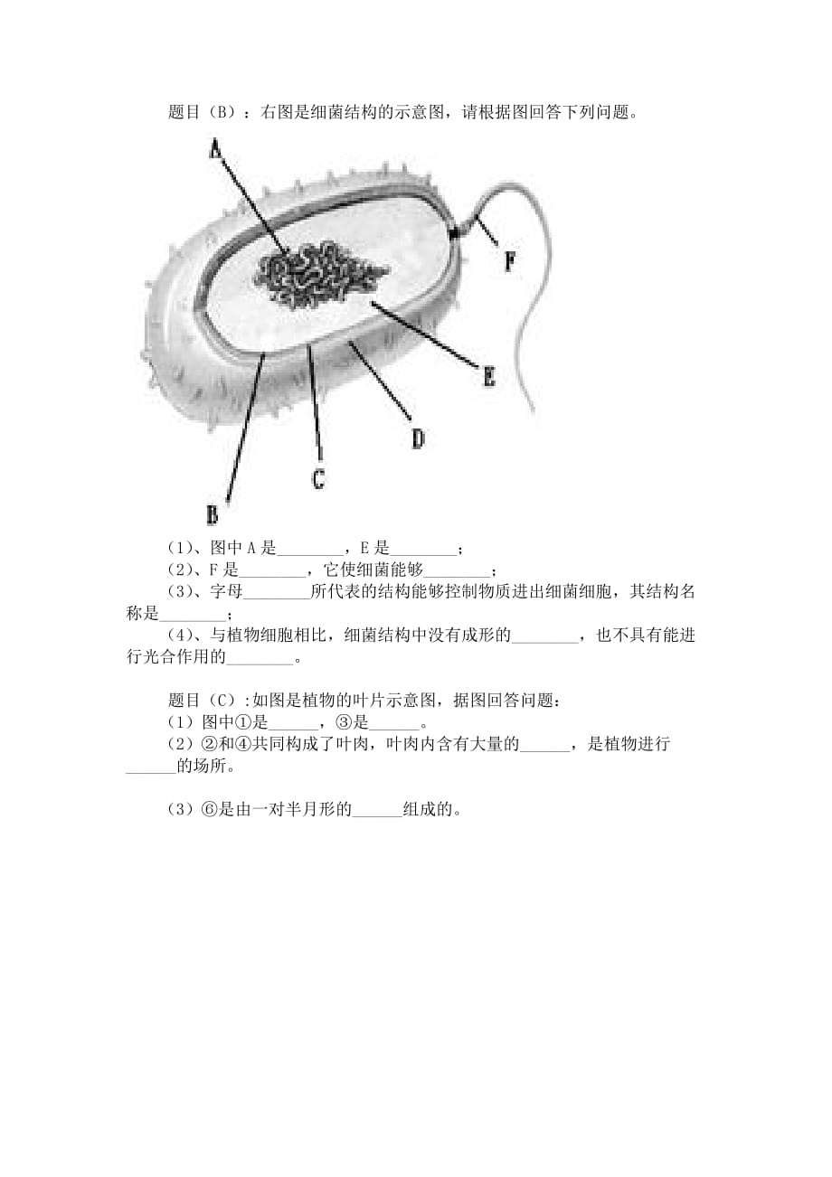 生物人教版七年级上册复习课_第2页