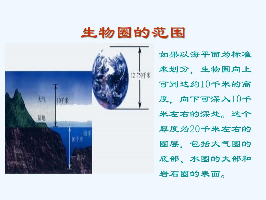 生物人教版七年级上册生物圈ppt_第4页