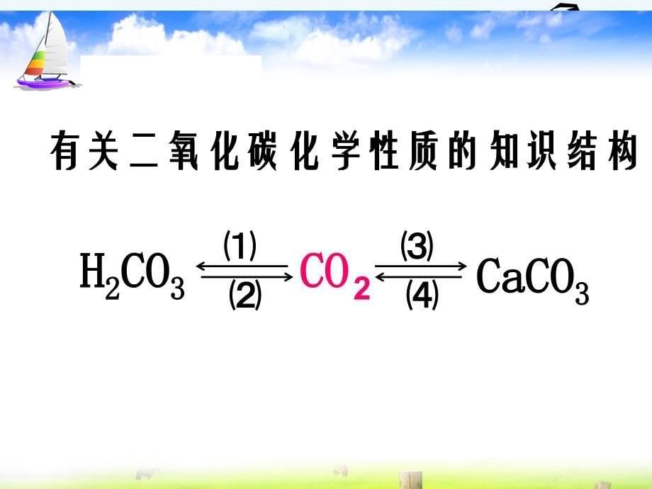 化学人教版九年级上册二氧化碳 复习_第5页