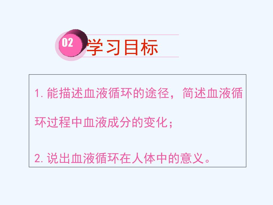 生物人教版七年级下册输送血液的泵——心脏（第二课时）_第3页