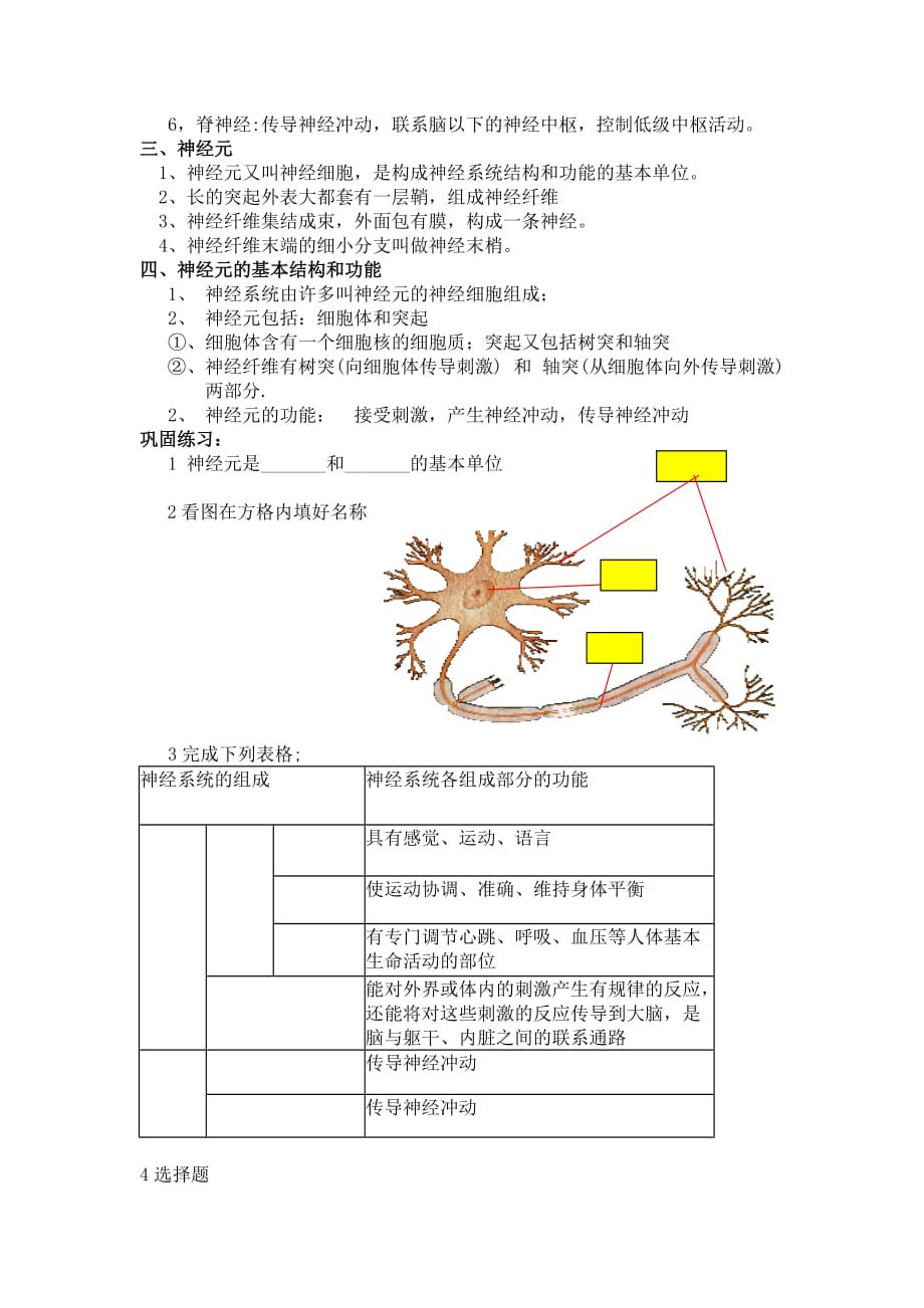 生物人教版七年级下册神经系统组成_第2页