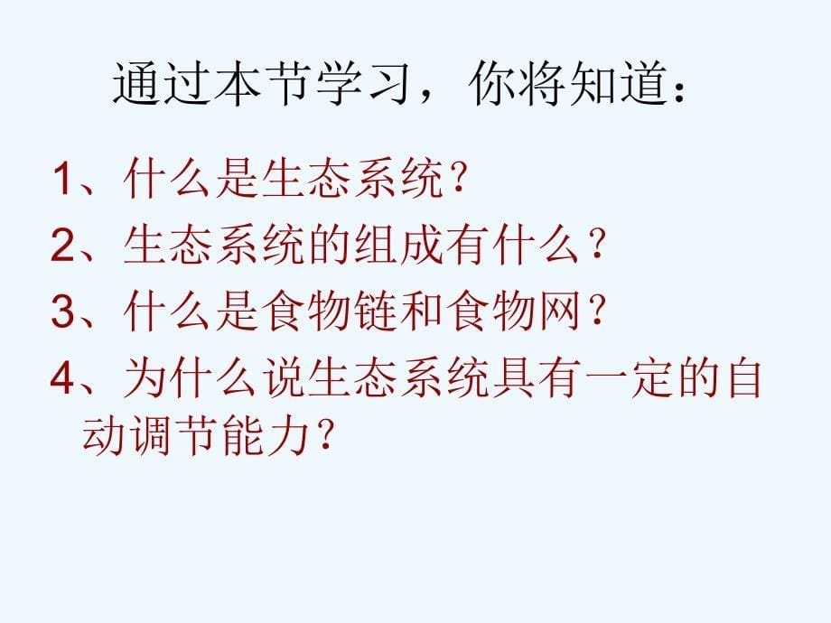 生物人教版七年级上册生物与环境组成生态系统.2生物与环境组成生态系统_第5页