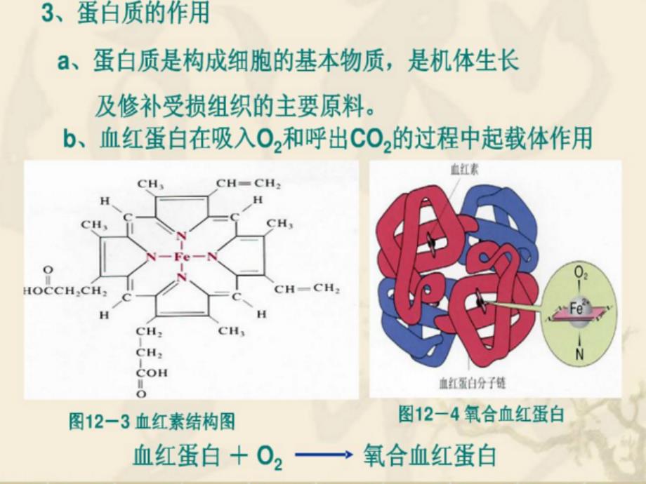 化学人教版九年级下册副课件—蛋白质_第3页