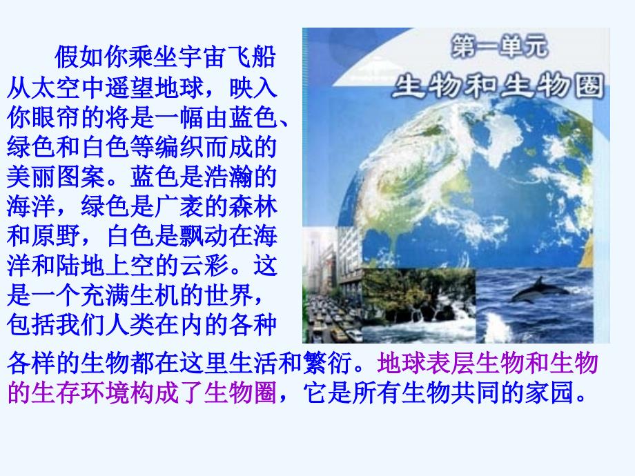 生物人教版七年级上册生物的特征.生物的特征课件_第1页