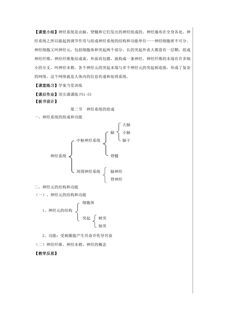 生物人教版七年级下册神经系统的构成教案.doc_第3页