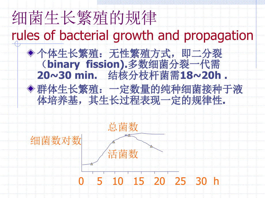 医学微生物学电子课件02细菌的生理_第4页