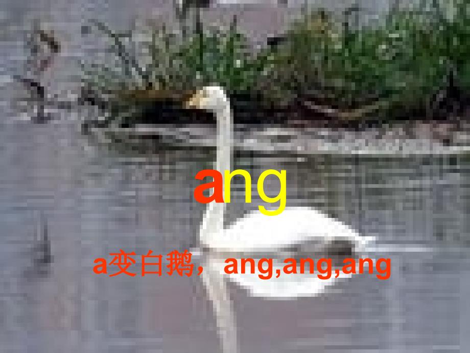 语文人教版一年级上册ang的教学_第4页