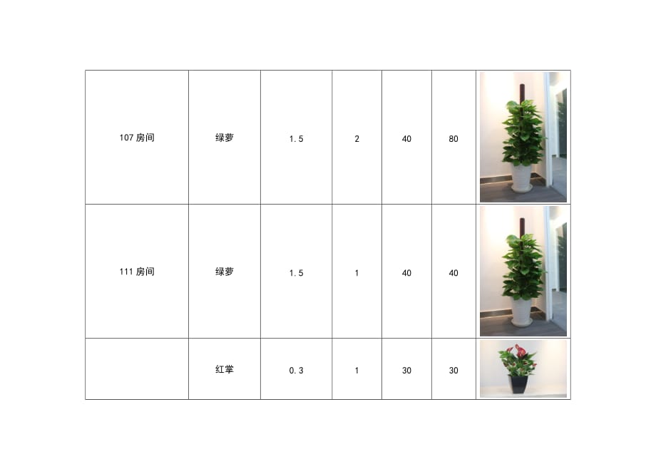 绿植租摆价格明细_第4页