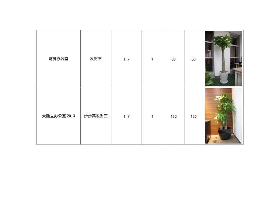 绿植租摆价格明细_第5页