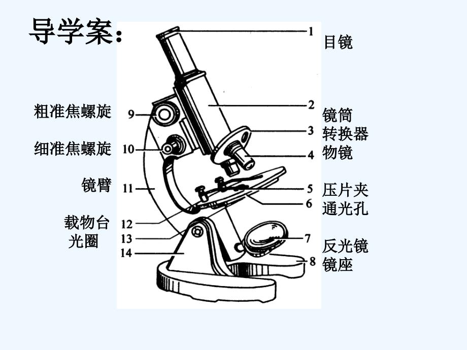 生物人教版七年级上册使用显微镜.1.1练习使用显微镜_第3页