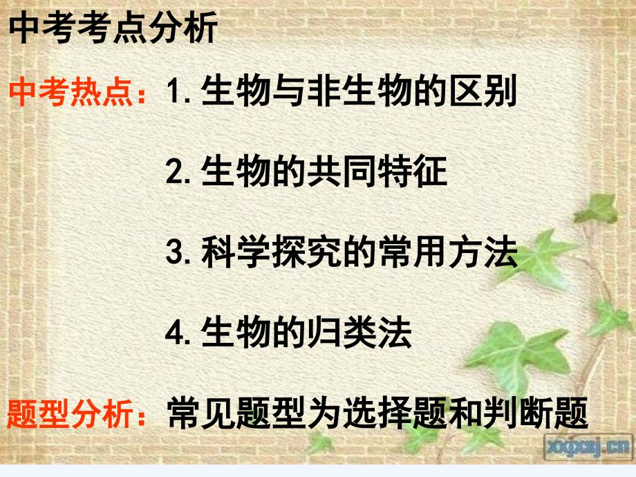 生物人教版七年级上册认识生物课件_第3页