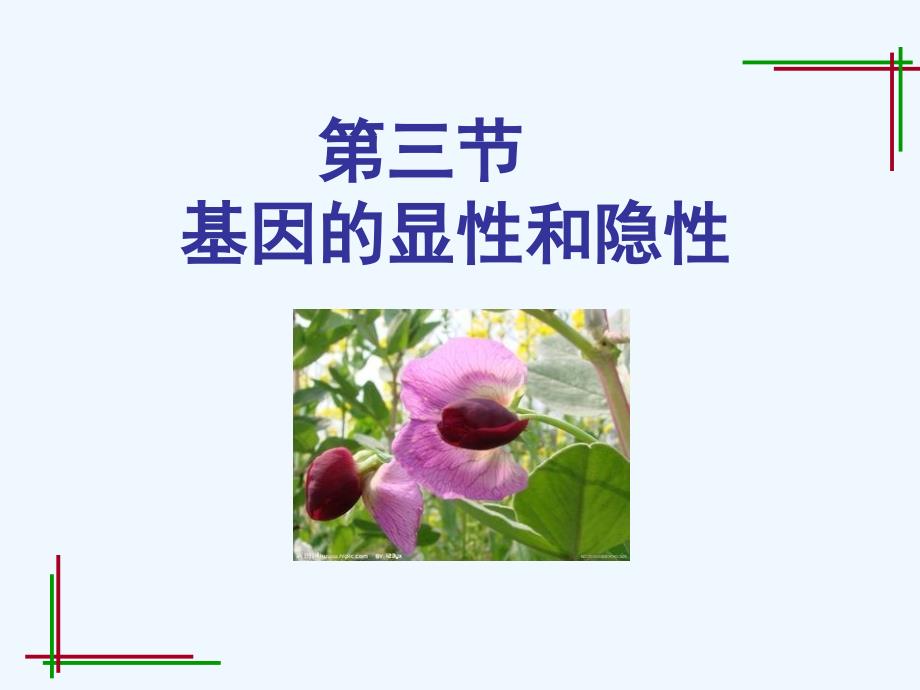 生物人教版七年级下册基因的显性和隐性_第1页