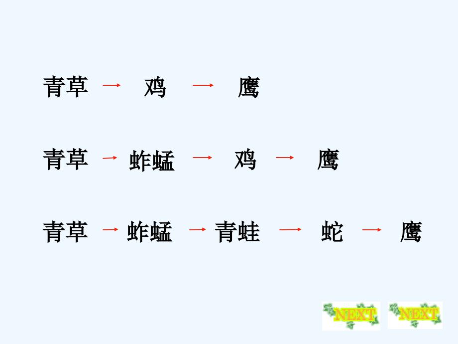 生物人教版七年级上册食物链与食物网_第4页