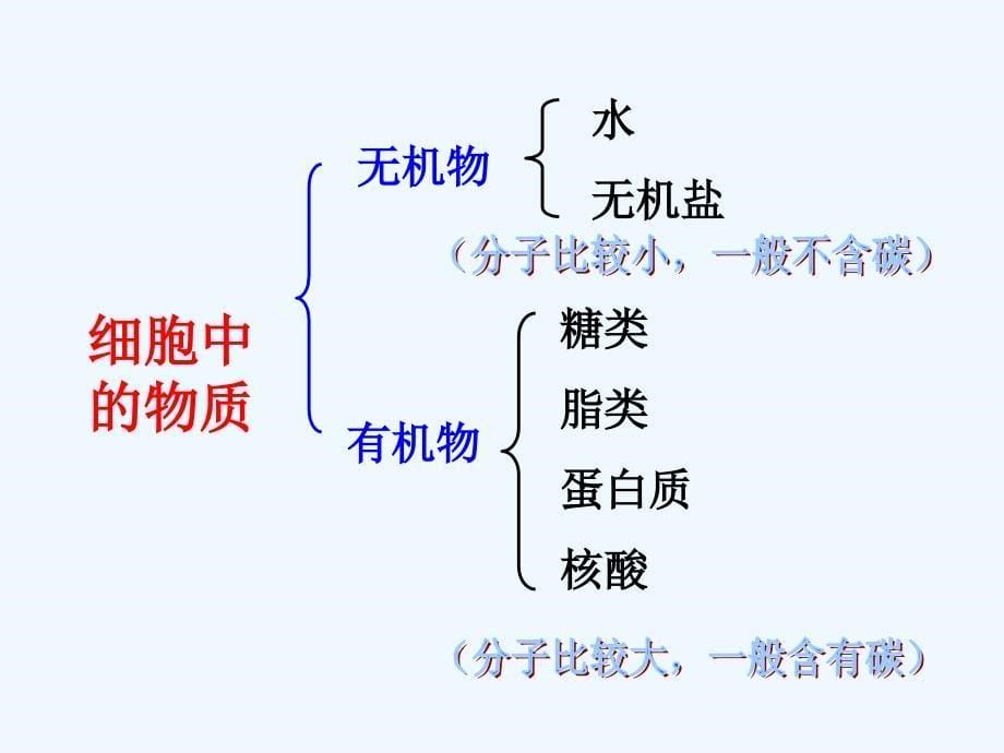 生物人教版七年级上册第二单元第一章第四节细胞的生活_第5页