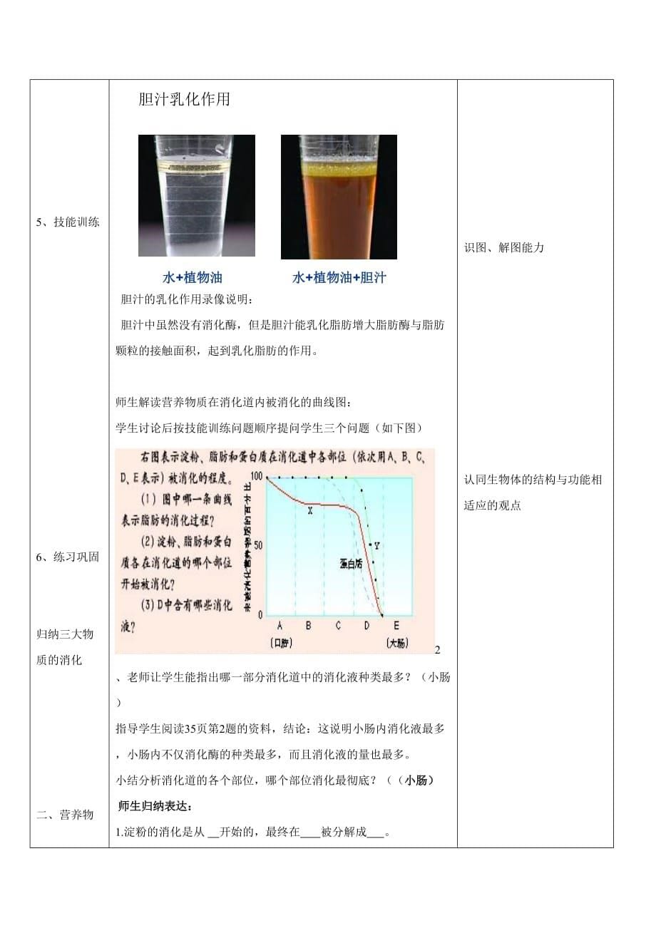 生物人教版七年级下册消化和吸收教案_第5页