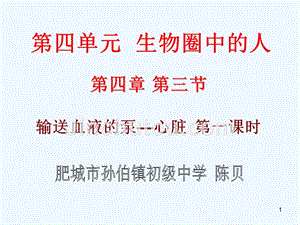 生物人教版七年级下册【课件设计】输送血液的泵——心脏1_生物_初中_陈贝_370