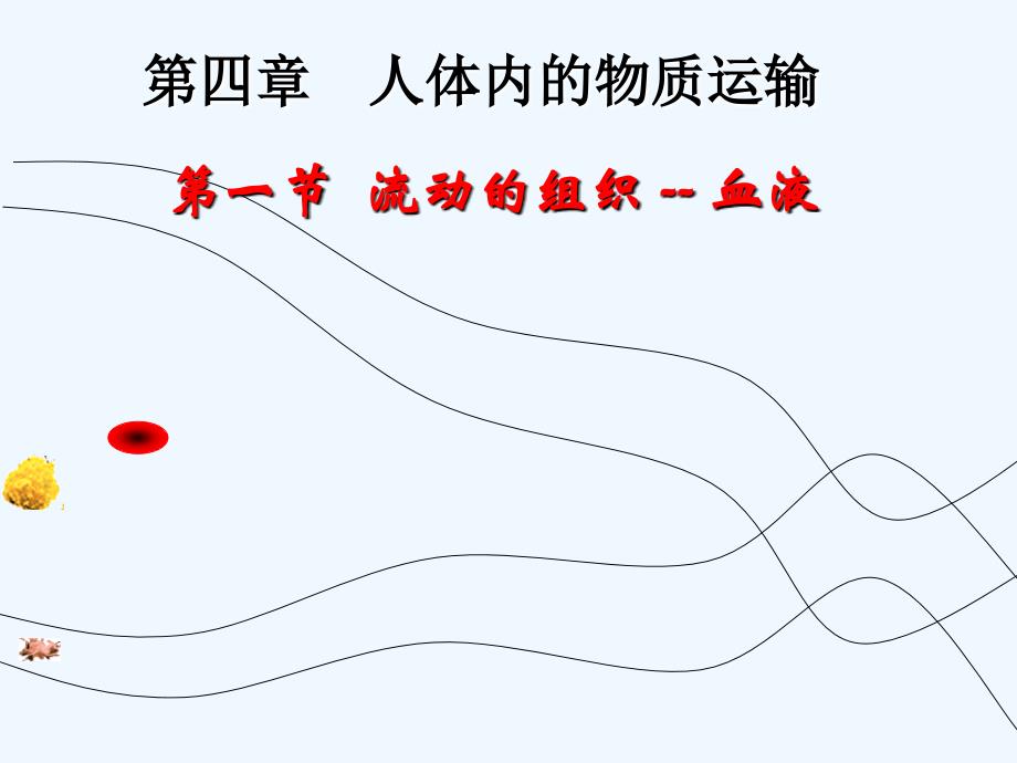 生物人教版七年级下册第一节流动的组织------血液_第2页