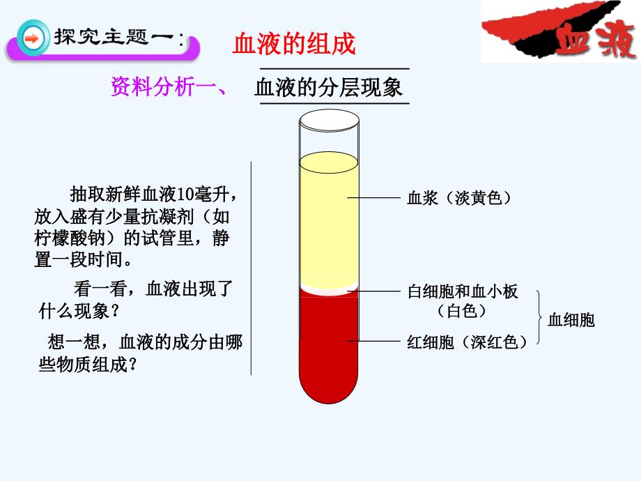 生物人教版七年级下册第一节流动的组织------血液_第3页