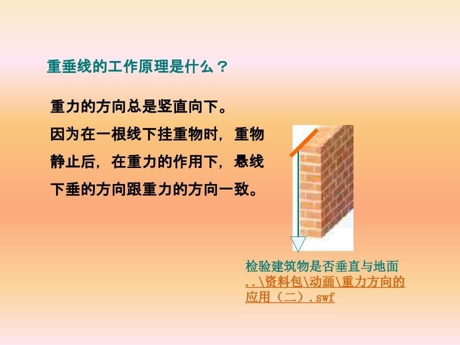 物理人教版八年级下册重力课件2_第5页