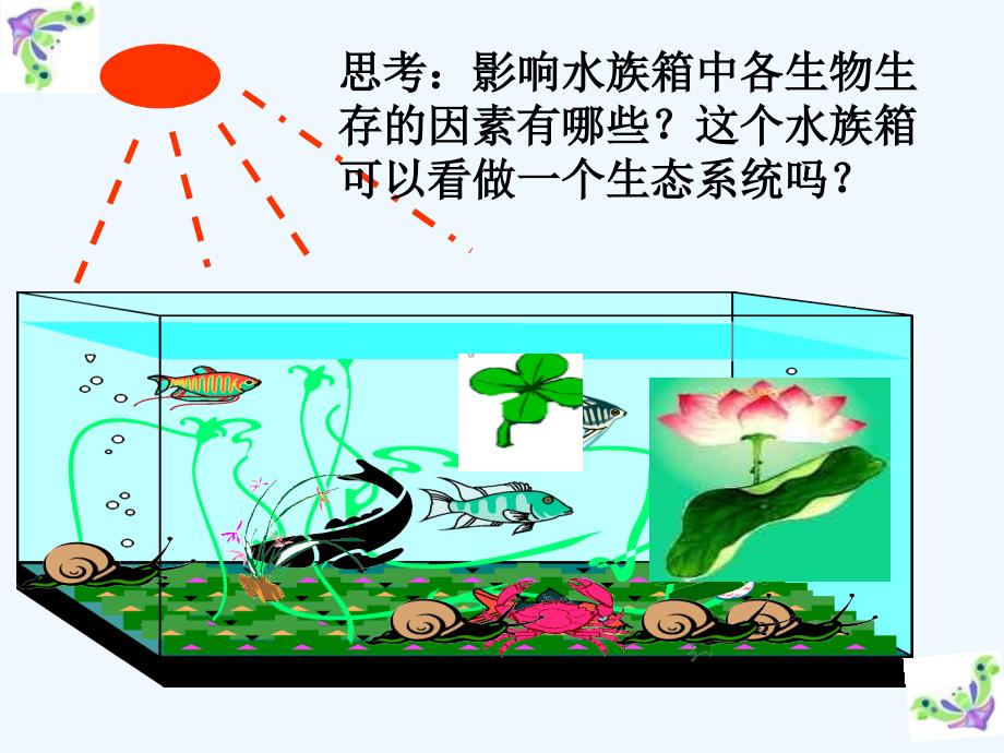 生物人教版七年级上册生物与环境组成生态系统课件_第3页