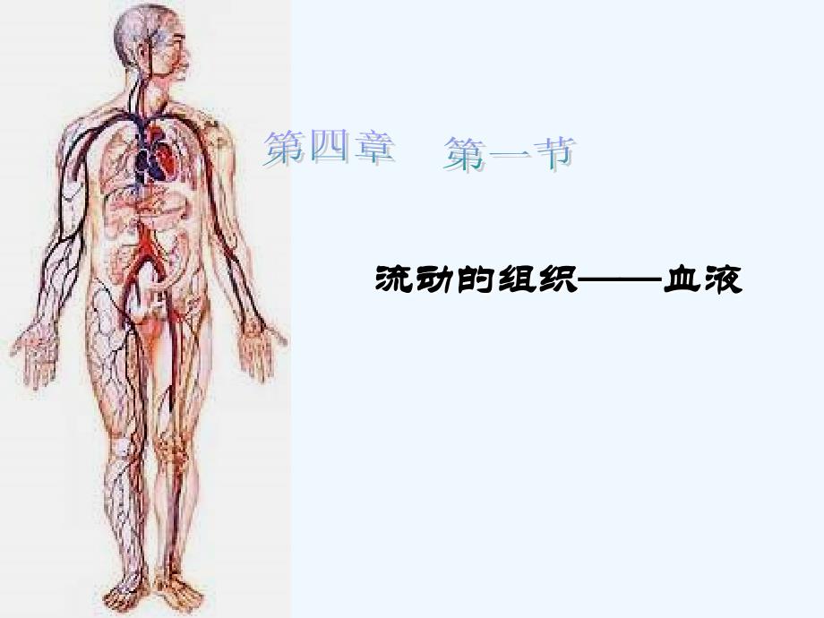 生物人教版七年级下册流动的组织―血液_第1页