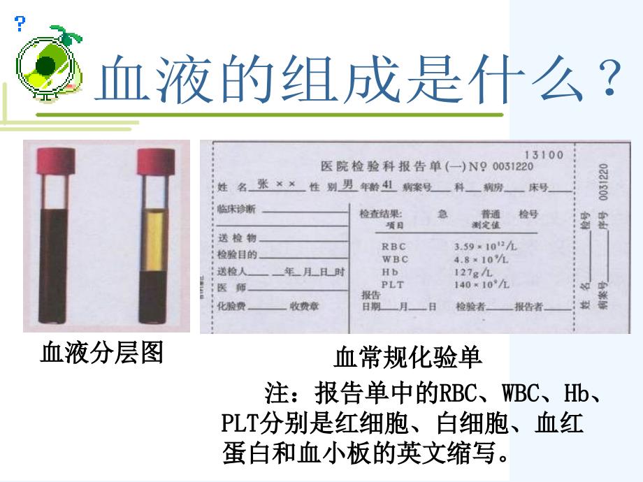 生物人教版七年级下册流动的组织―血液_第4页