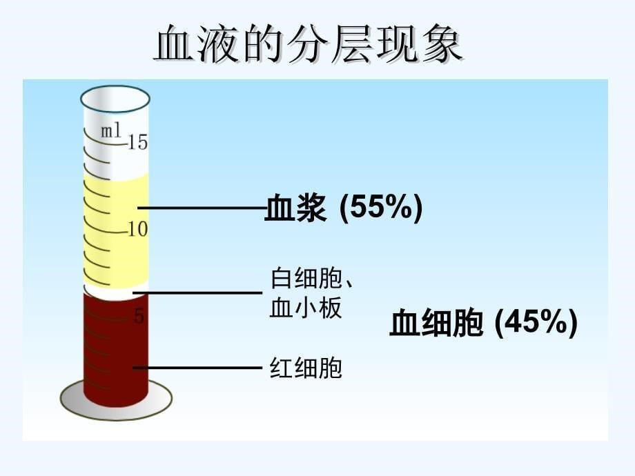 生物人教版七年级下册流动的组织―血液_第5页