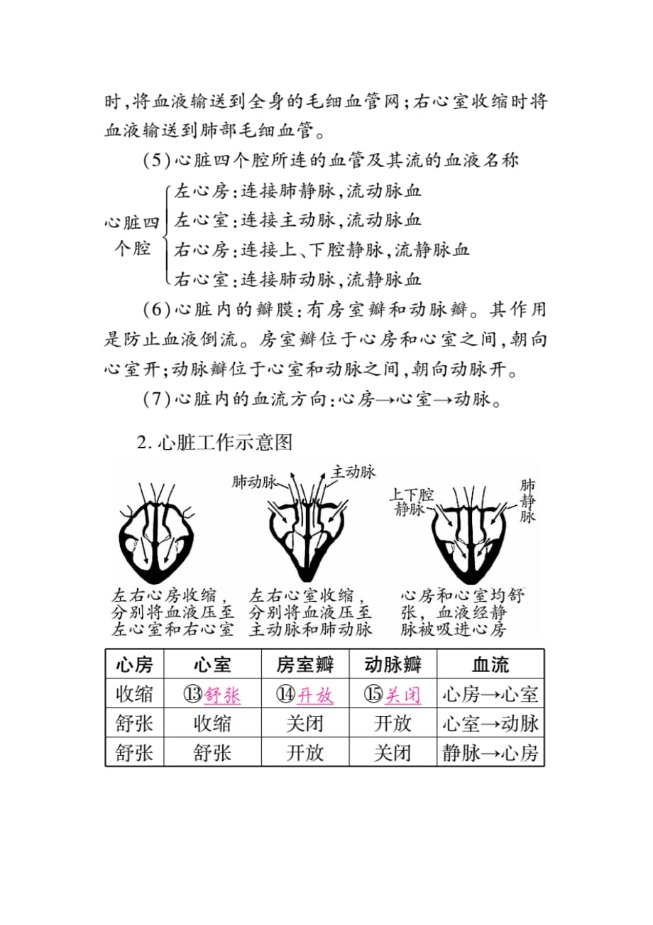 生物人教版七年级下册生物教学设计 输送血液的泵_第4页