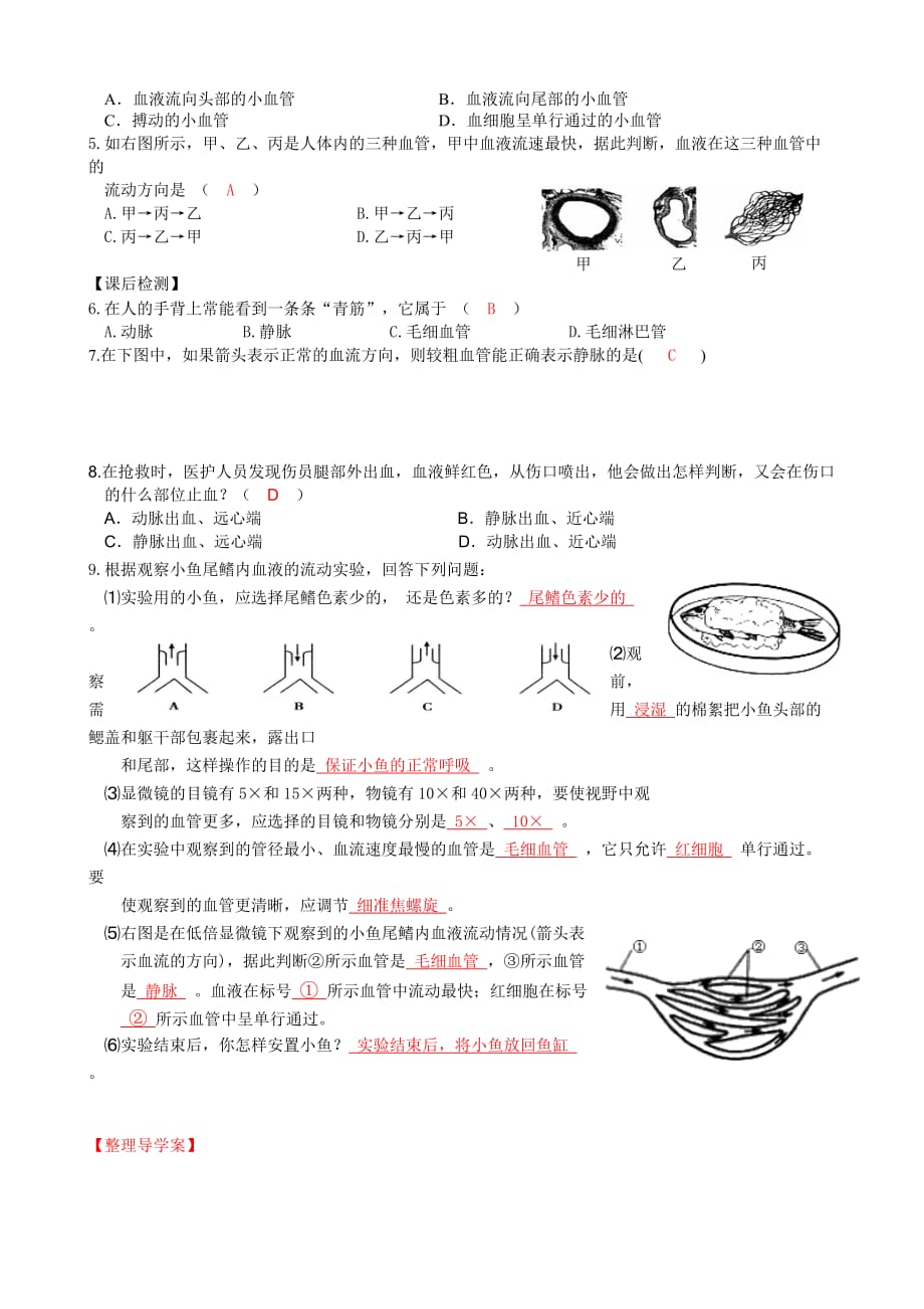 生物人教版七年级下册（七-下）4-2血流的管道---血管_第3页