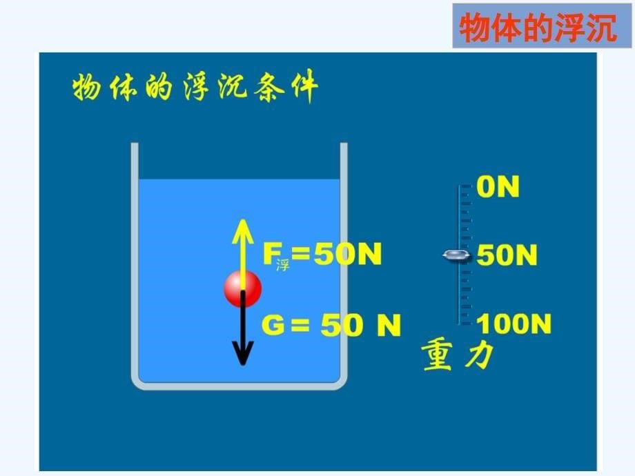 物理人教版八年级下册第3节　物体的浮沉条件及应用_第5页