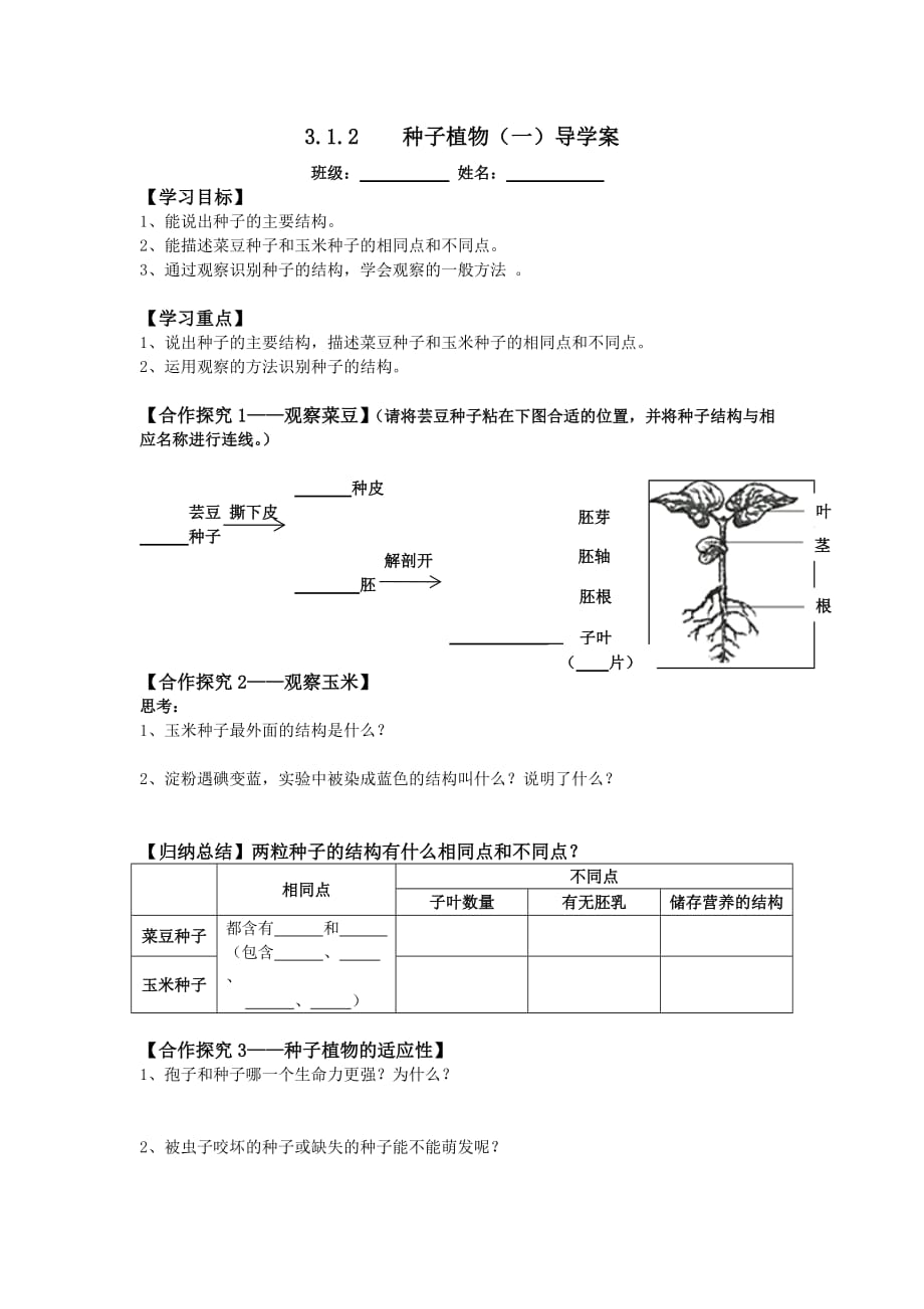 生物人教版七年级上册种子植物第一课时学案_第1页