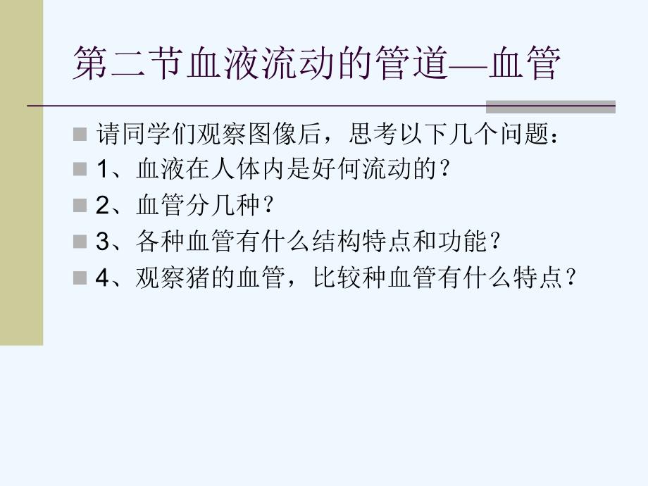 生物人教版七年级下册血液流动的管道--血管_第2页