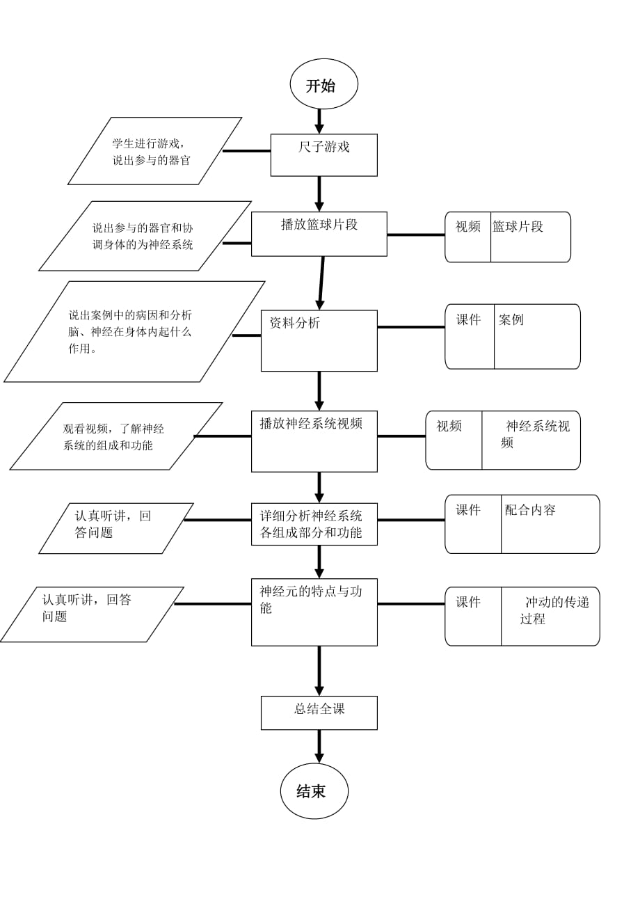 生物人教版七年级下册神经系统_第4页