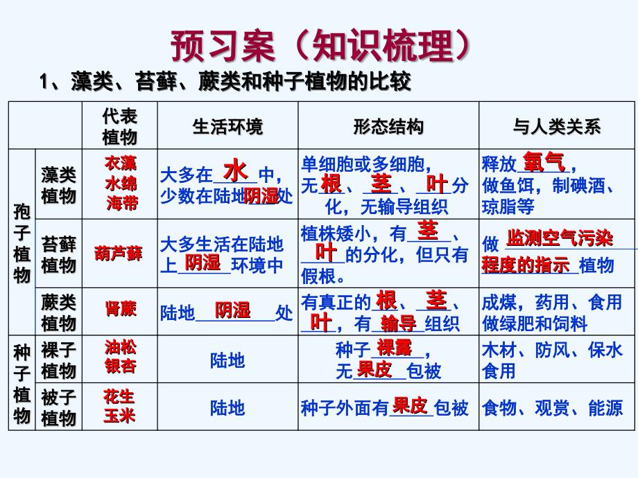 生物人教版七年级上册生物圈中有哪些植物复习课课件_第3页