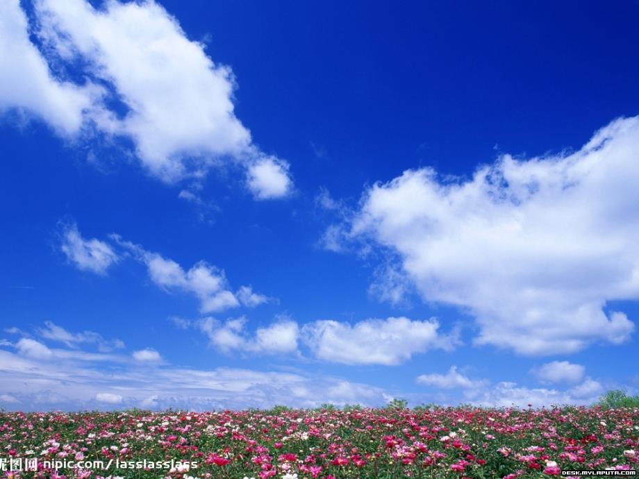 化学人教版九年级上册燃料的合理利用与开发（二）_第1页