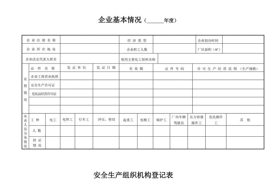 危险品安全生产管理台账样本_第5页