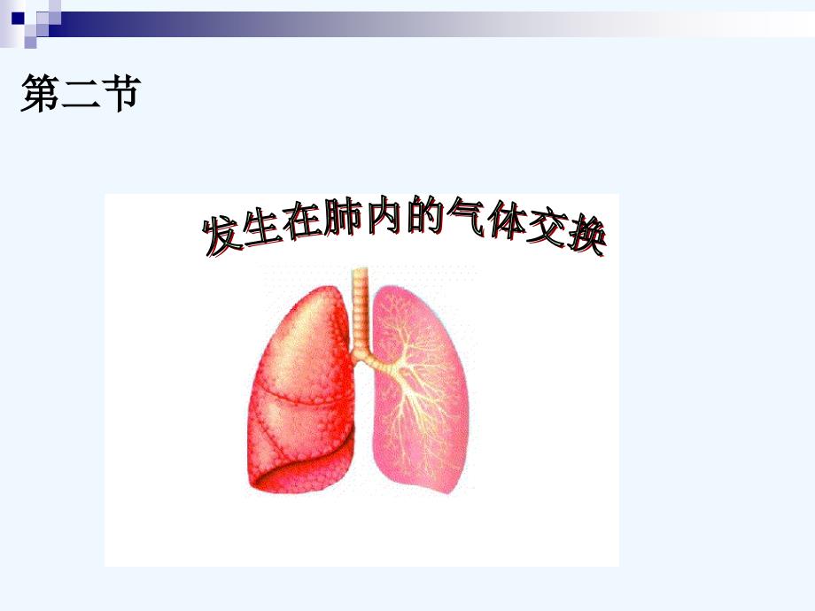 生物人教版七年级下册第二节发生在肺内的气体交换（第一课时课件）_第2页