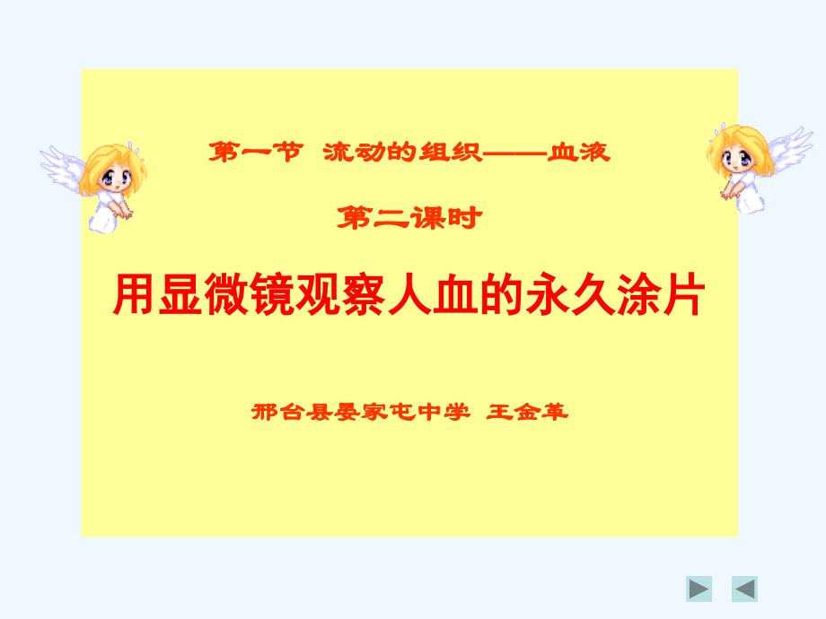 生物人教版七年级下册流动的组织---血液（第二课时 用显微镜观察人血涂片）_第1页