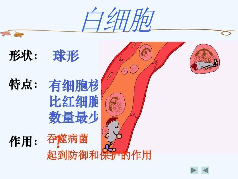 生物人教版七年级下册流动的组织---血液（第二课时 用显微镜观察人血涂片）_第5页