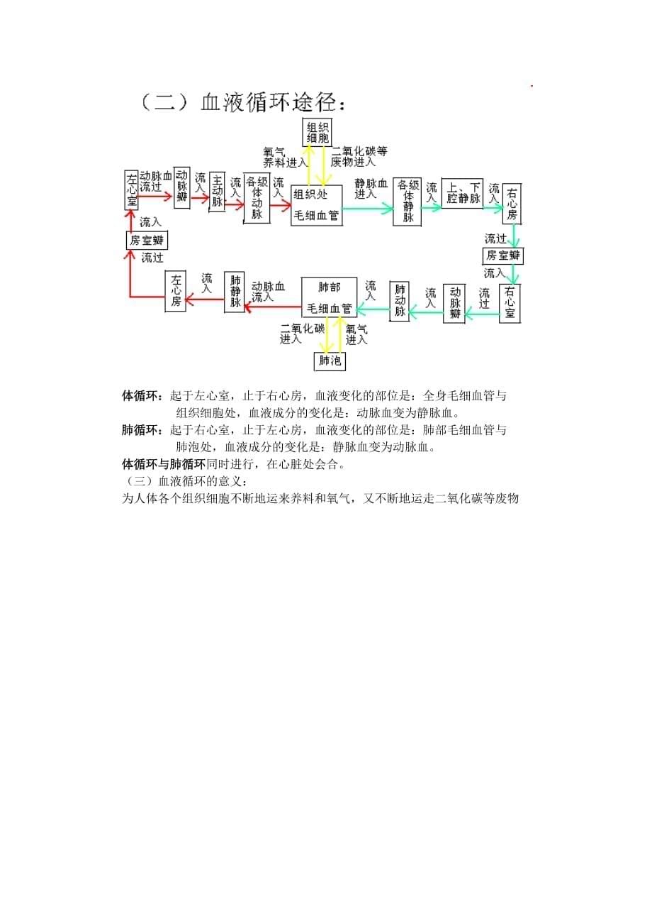 生物人教版七年级下册血液循环 教学设计_第5页